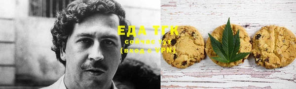 шишки Белокуриха