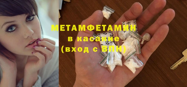 шишки Белокуриха