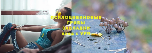 шишки Белокуриха