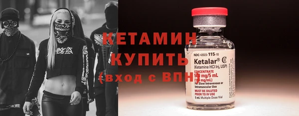 шишки Белокуриха