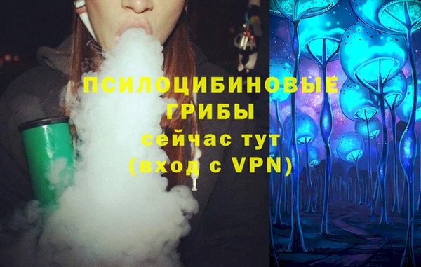 шишки Белокуриха