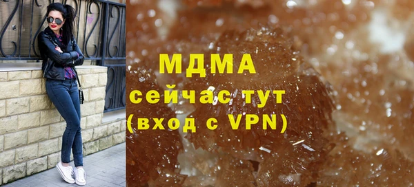 шишки Белокуриха