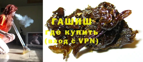 шишки Белокуриха