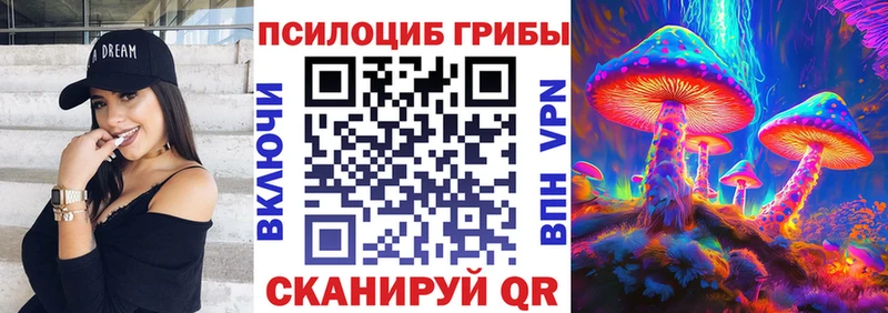 Псилоцибиновые грибы Psilocybe  Кузнецк 